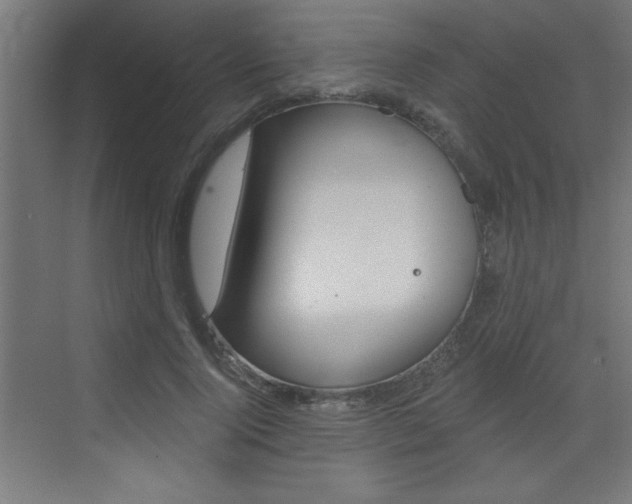 X0000072960740200607211004