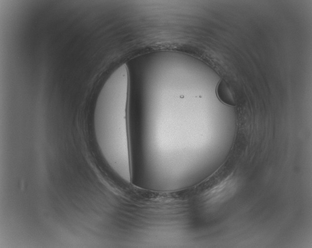 X0000072960742200607211004