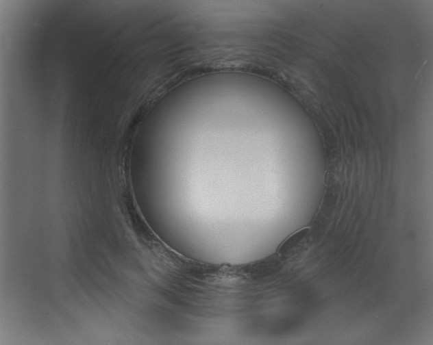 X0000072960743200607211004