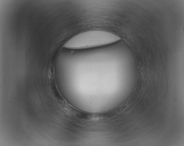 X0000072960746200607211004