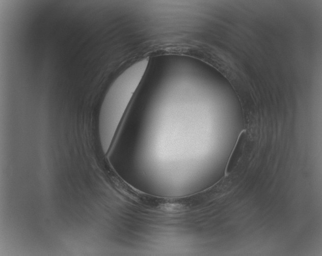 X0000072960748200607211004