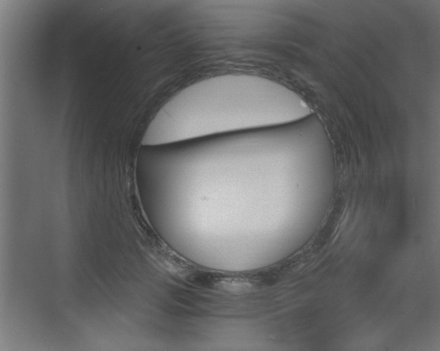 X0000072960749200607211004