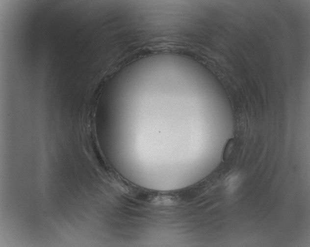 X0000072960751200607211004