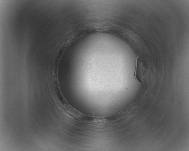 X0000072960752200607211004