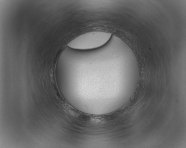 X0000072960753200607211004