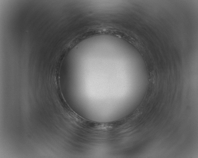 X0000072960754200607211004