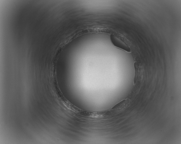 X0000072960760200607211004