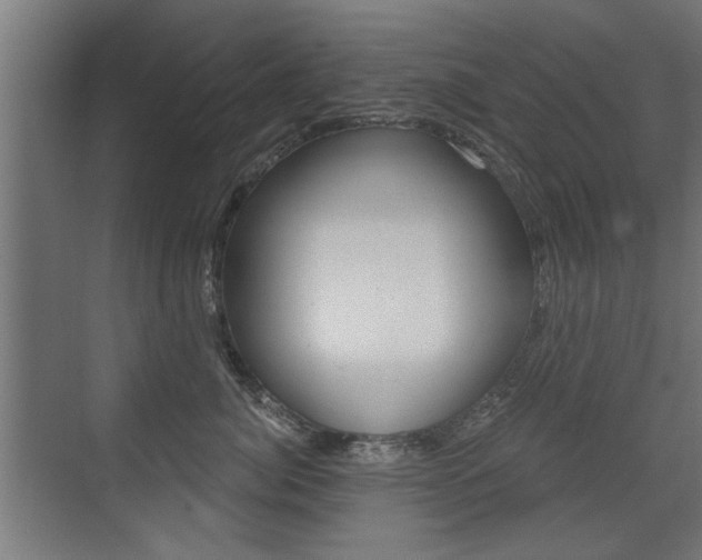 X0000072960764200607211004