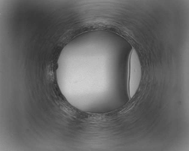 X0000072960771200607211004