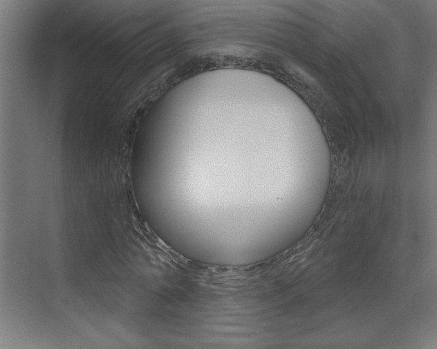 X0000072960774200607211003