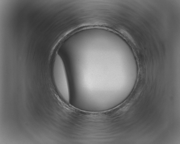X0000072960781200607211003