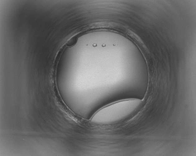 X0000072960786200607211003
