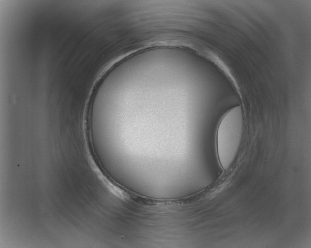 X0000072960803200607211003