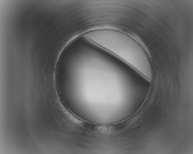 X0000072960805200607211003