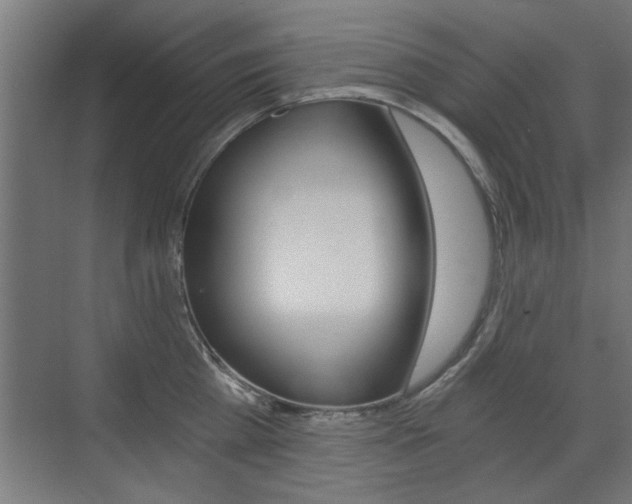 X0000072960809200607211003