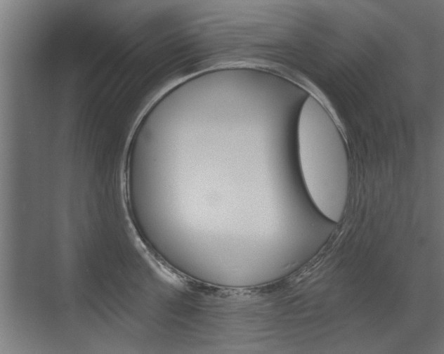 X0000072960811200607211003