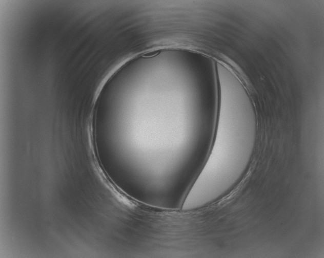 X0000072960812200607211003