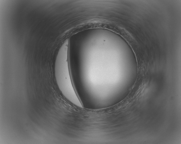 X0000072960821200607211002
