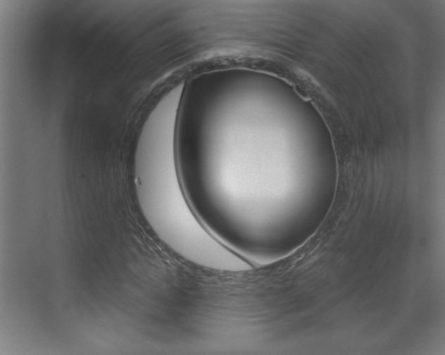 X0000072960822200607211002