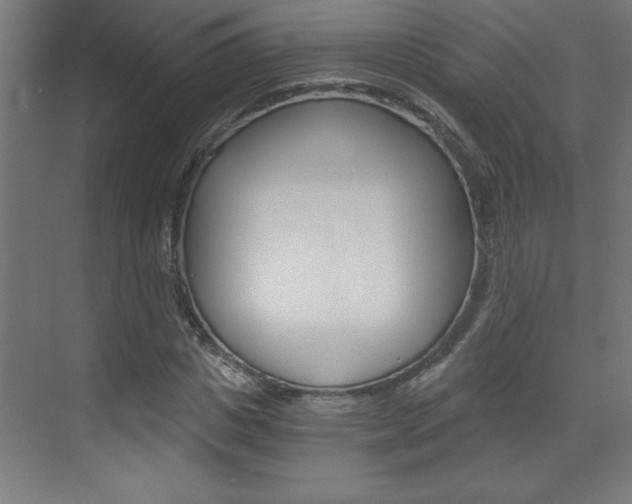 X0000072960825200607211002