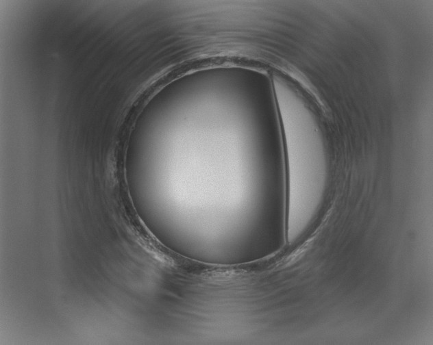 X0000072960826200607211002