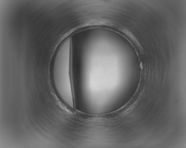X0000072960834200607211002