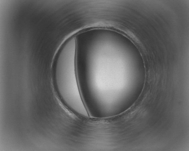 X0000072960838200607211002