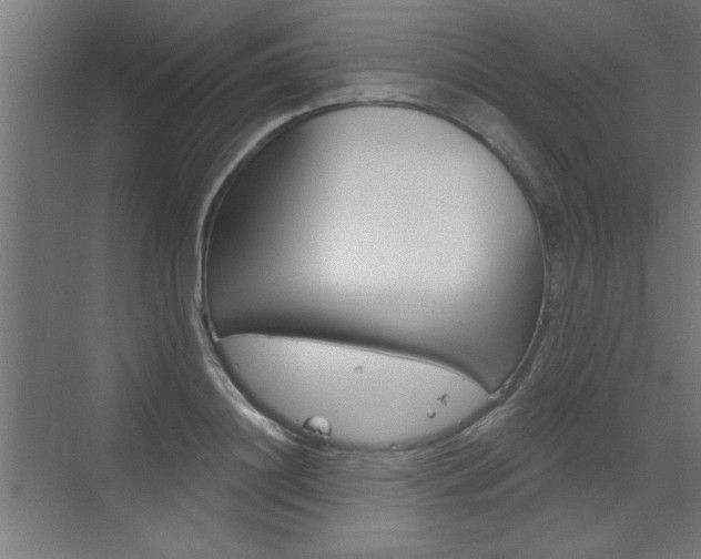X0000072960844200607211002