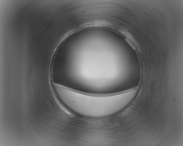 X0000072960850200607211003