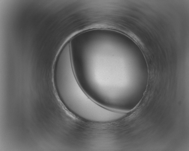 X0000072960854200607211003