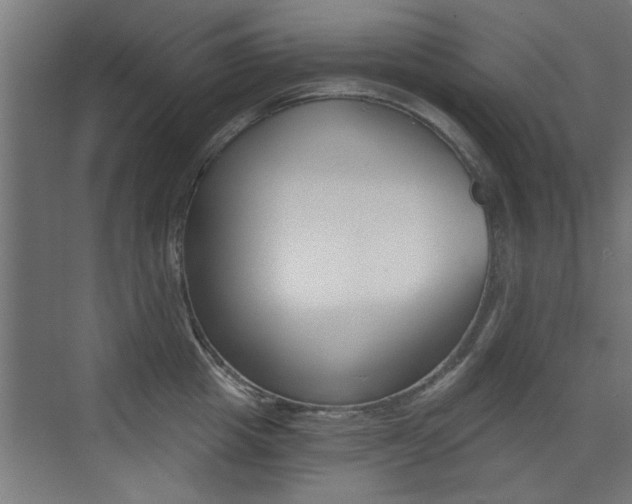 X0000072960857200607211003