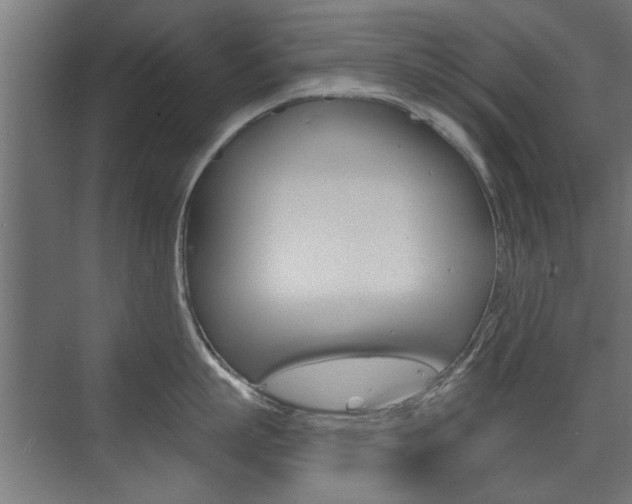 X0000072960863200607211003