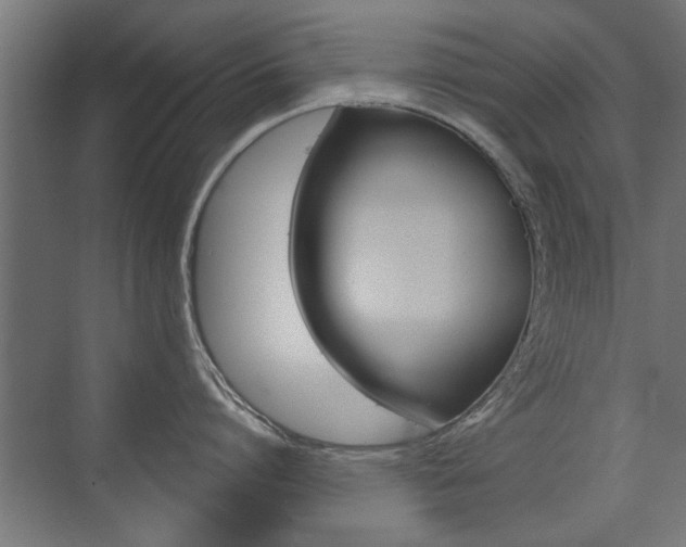 X0000072960864200607211003
