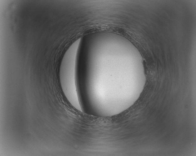 X0000072960865200607211002