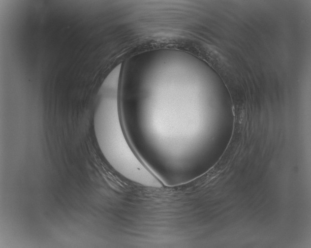 X0000072960868200607211002