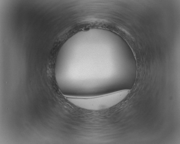 X0000072960869200607211002