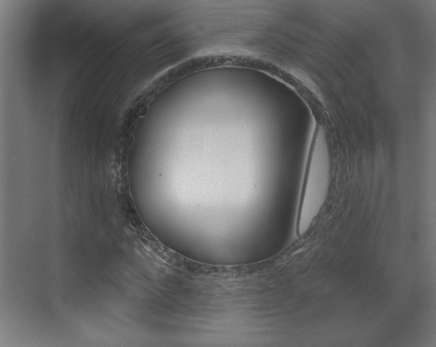 X0000072960872200607211002