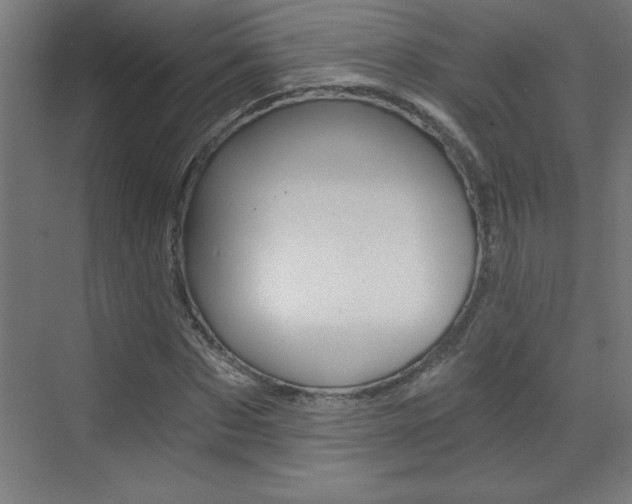 X0000072960873200607211002