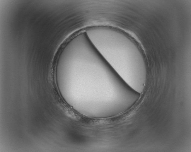 X0000072960879200607211002