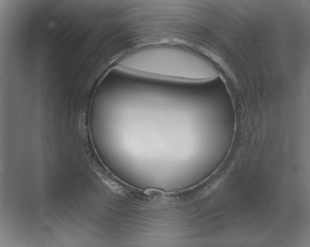 X0000072960881200607211002