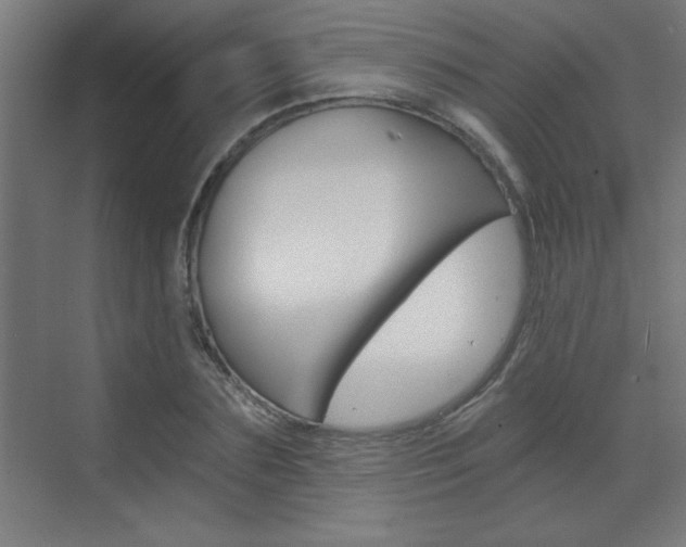 X0000072960883200607211002