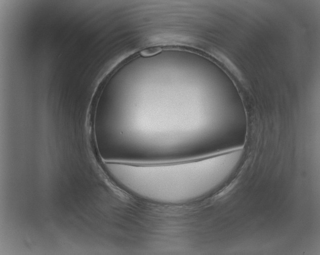 X0000072960885200607211002