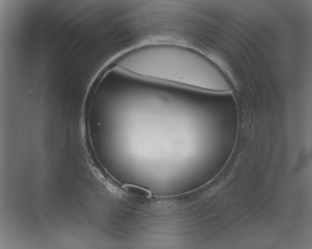 X0000072960888200607211002