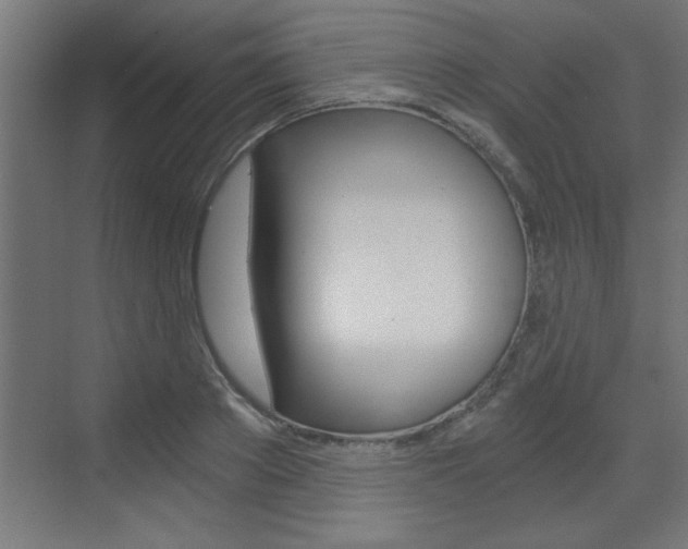 X0000072960889200607211002