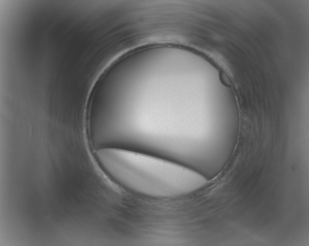 X0000072960895200607211001