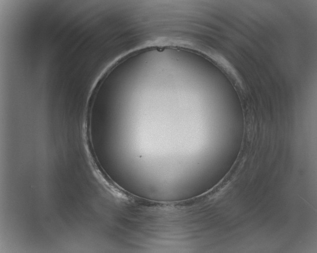 X0000072960896200607211001