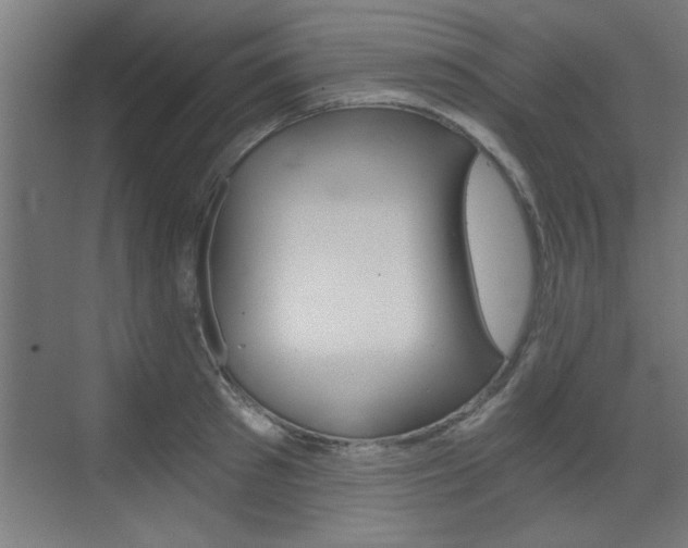 X0000072960897200607211001