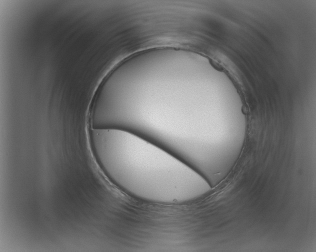X0000072960899200607211001
