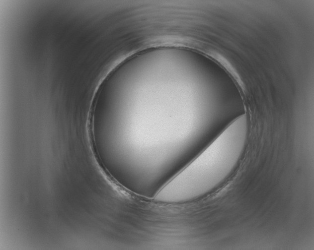 X0000072960901200607211001