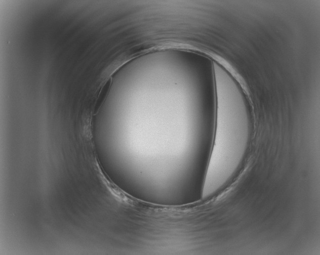 X0000072960905200607211001